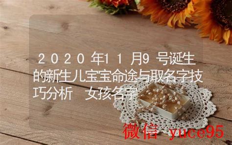 2020年11月宝宝八字取名字大全免费,第3张 2020年11月宝宝八字取名字大全免费,第3张